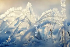 冬至來了，給家里添張地毯吧