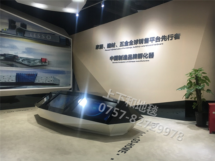 聯(lián)塑領(lǐng)尚環(huán)球之家地毯工程6