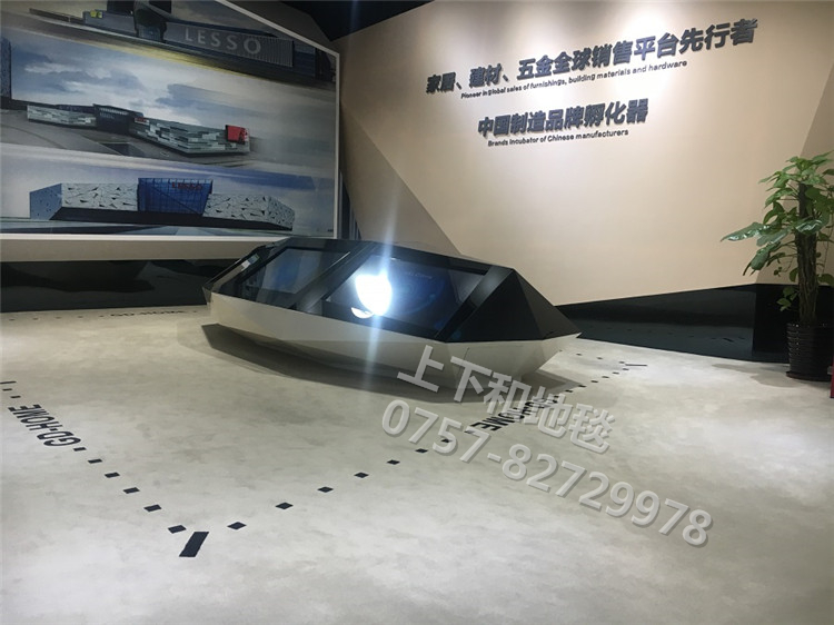 聯(lián)塑領(lǐng)尚環(huán)球之家地毯工程8