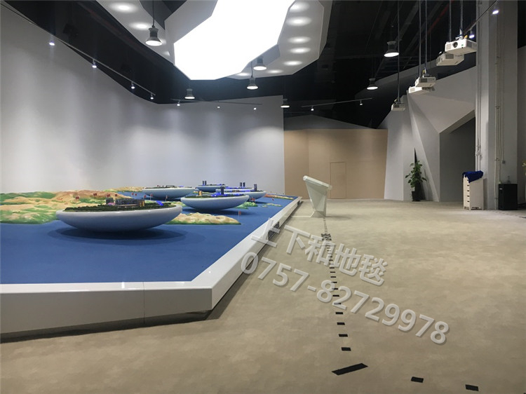 聯(lián)塑領(lǐng)尚環(huán)球之家地毯工程9