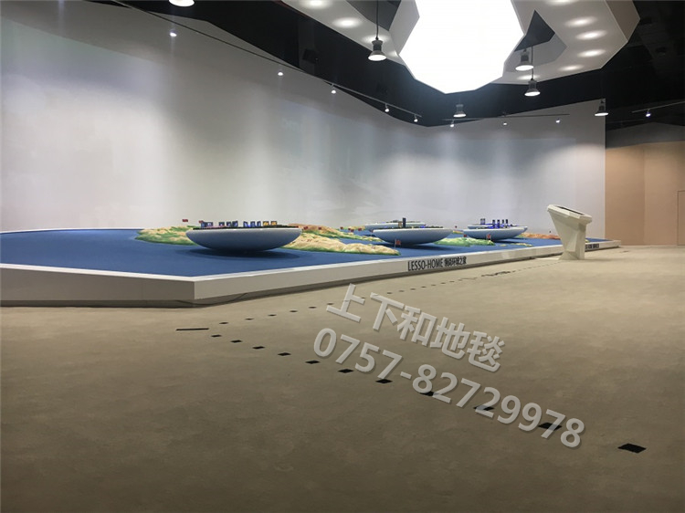 聯(lián)塑領(lǐng)尚環(huán)球之家地毯工程10